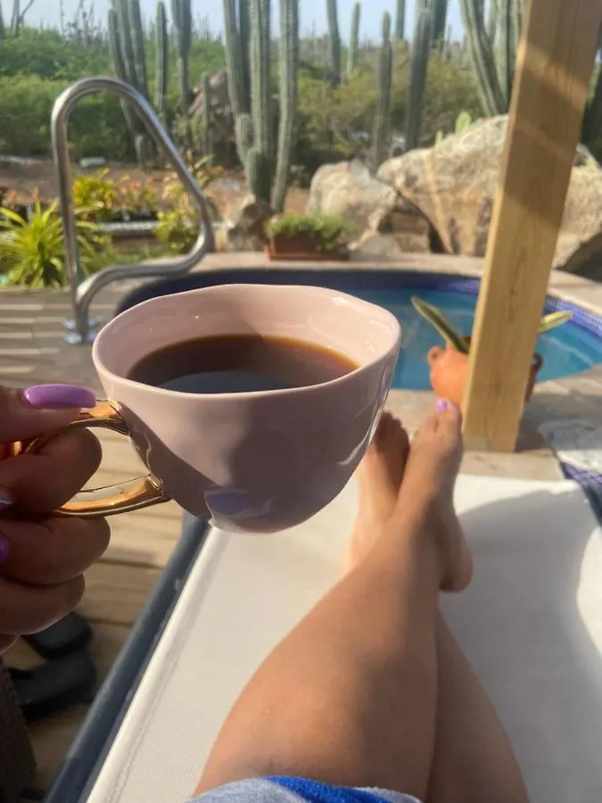 Apartament Cozy Studio With Private Spa Oranjestad Aruba