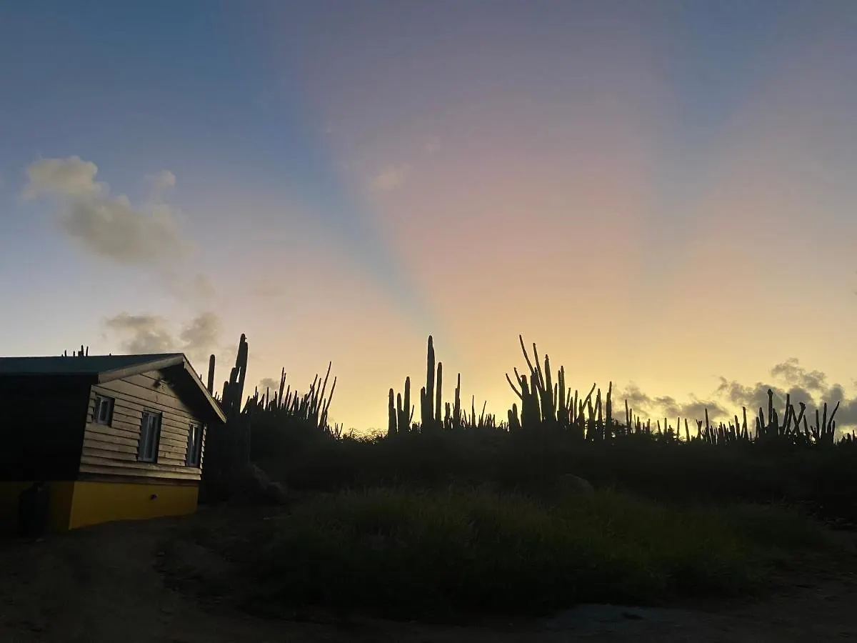 Cozy Studio With Private Spa Oranjestad Aruba
